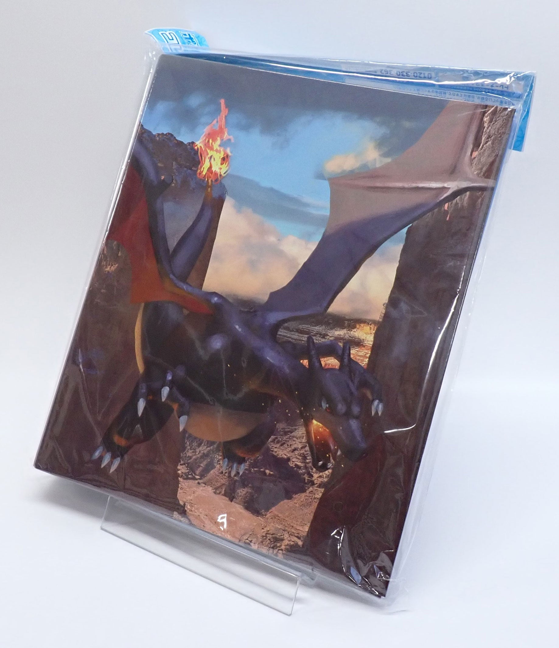 コレクションファイル 色違いのリザードン – 晴れる屋2