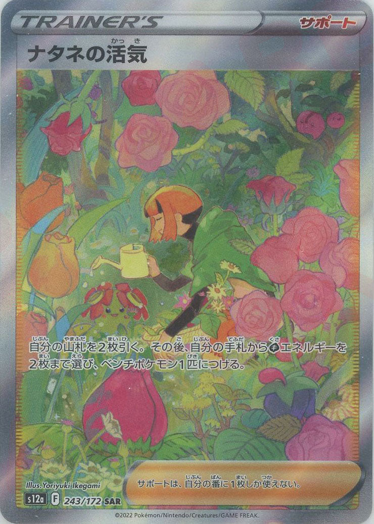 ナタネの活気(SAR){サポート}〈243/172〉[S12a] – 晴れる屋2
