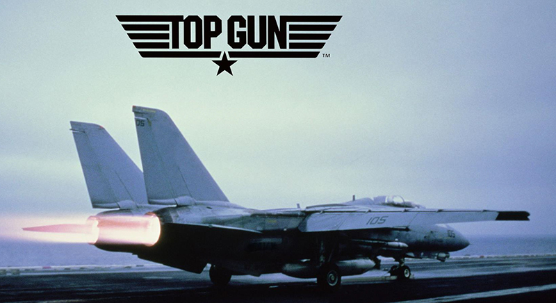 F-14A トムキャット “トップ ガン” | 株式会社 ハセガワ