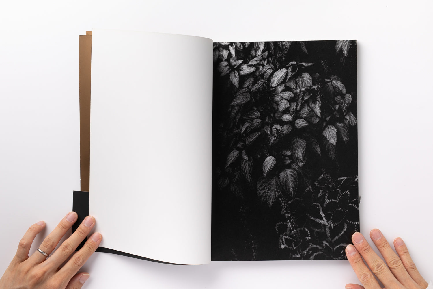 2X6A2834_29267b2d-fa81-44b6-