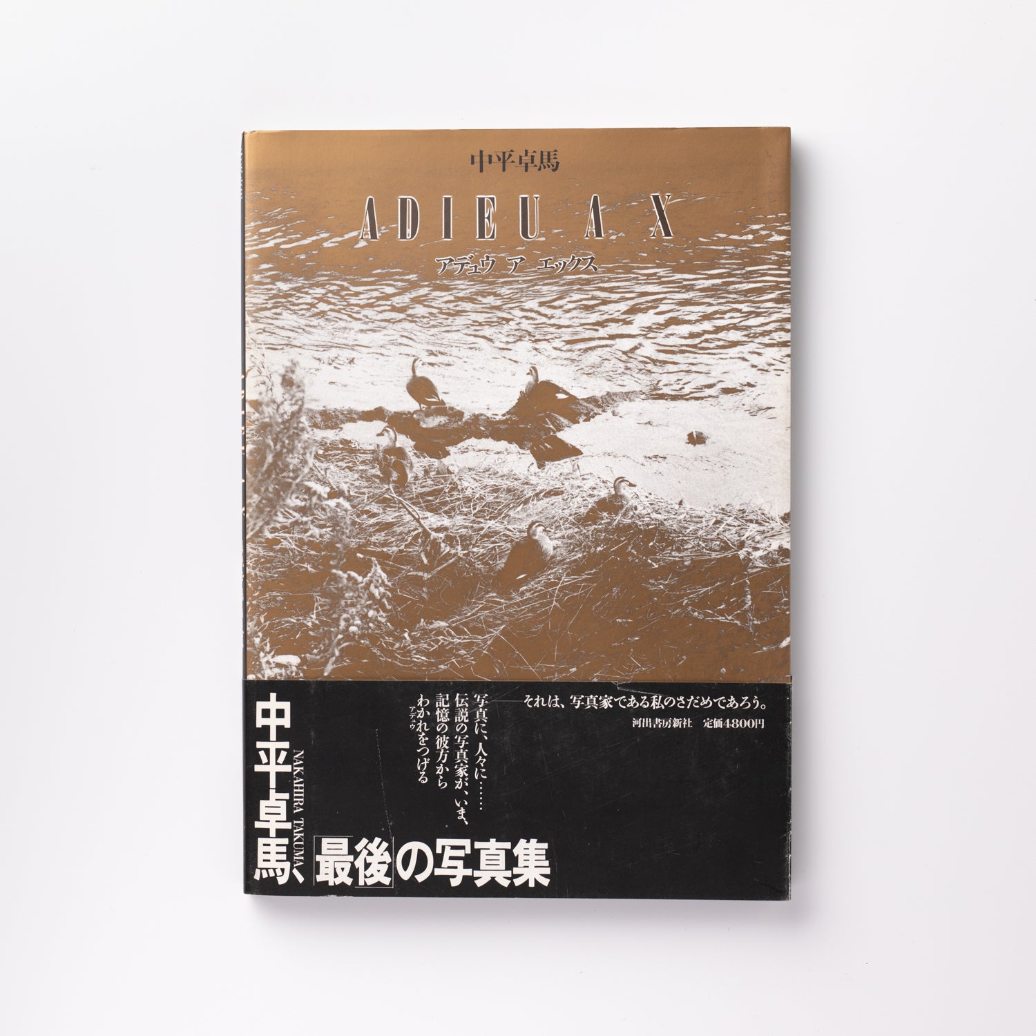 2X6A2833.jpg?v=1691762661