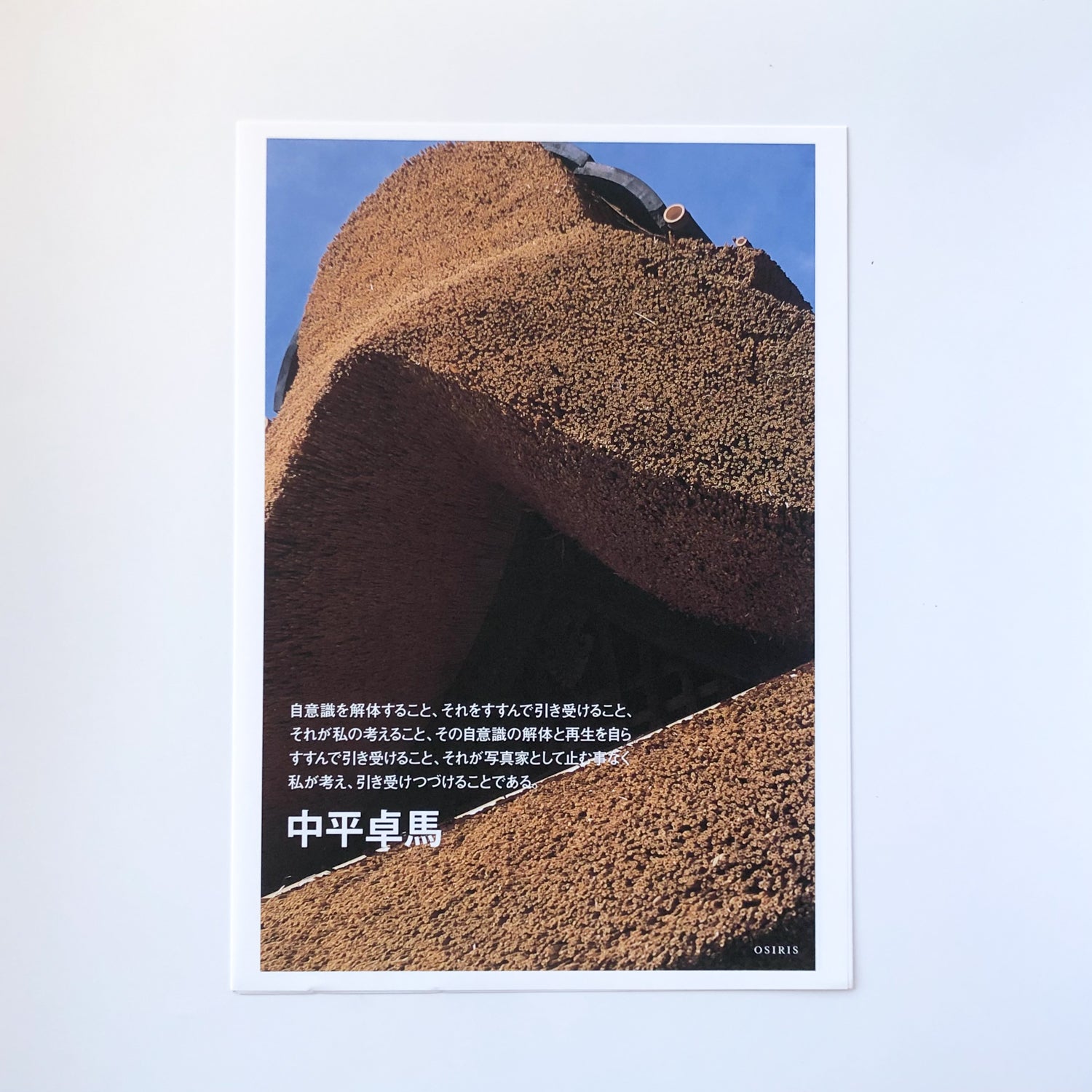 中平卓馬:『自意識を解体すること、それをすすんで引き受けること