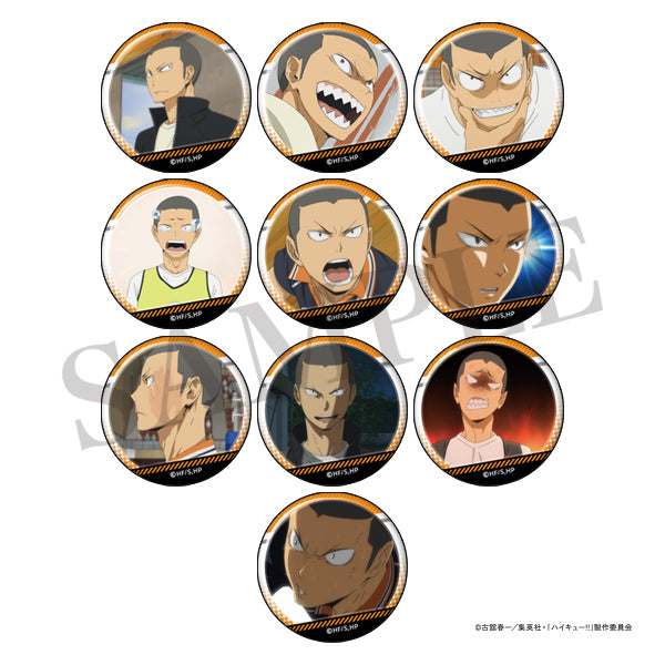 ハイキュー!! 田中がいっぱい場面写トレーディング缶バッジ【全10種