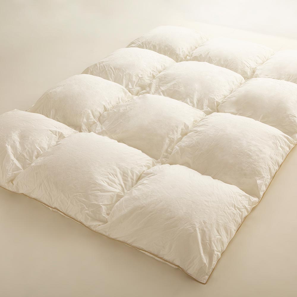 まとめ買い特典 2枚ご購入で10%OFF】FranceBed（フランスベッド）羽毛