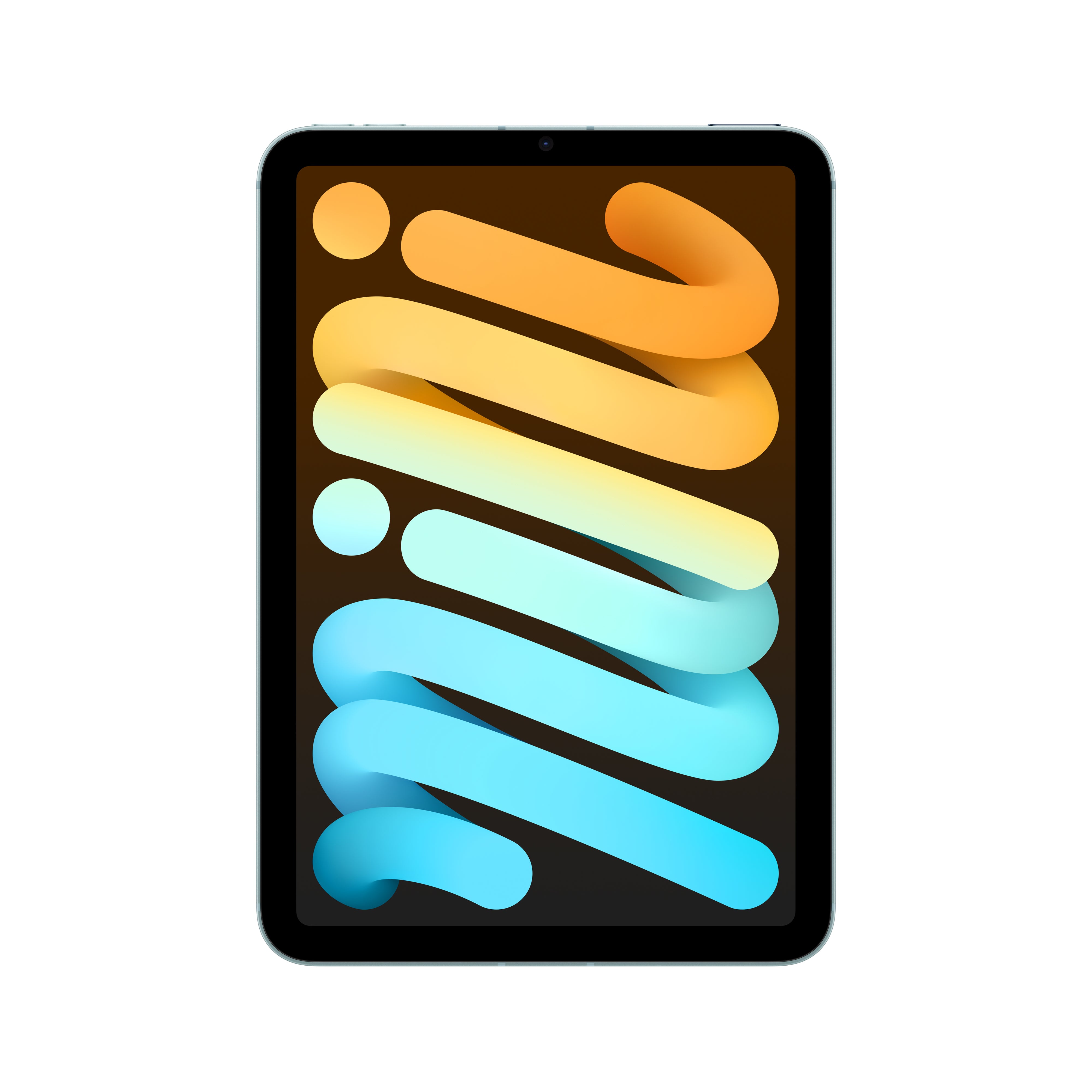 IMG-15316379_62a7dcf7-7390-