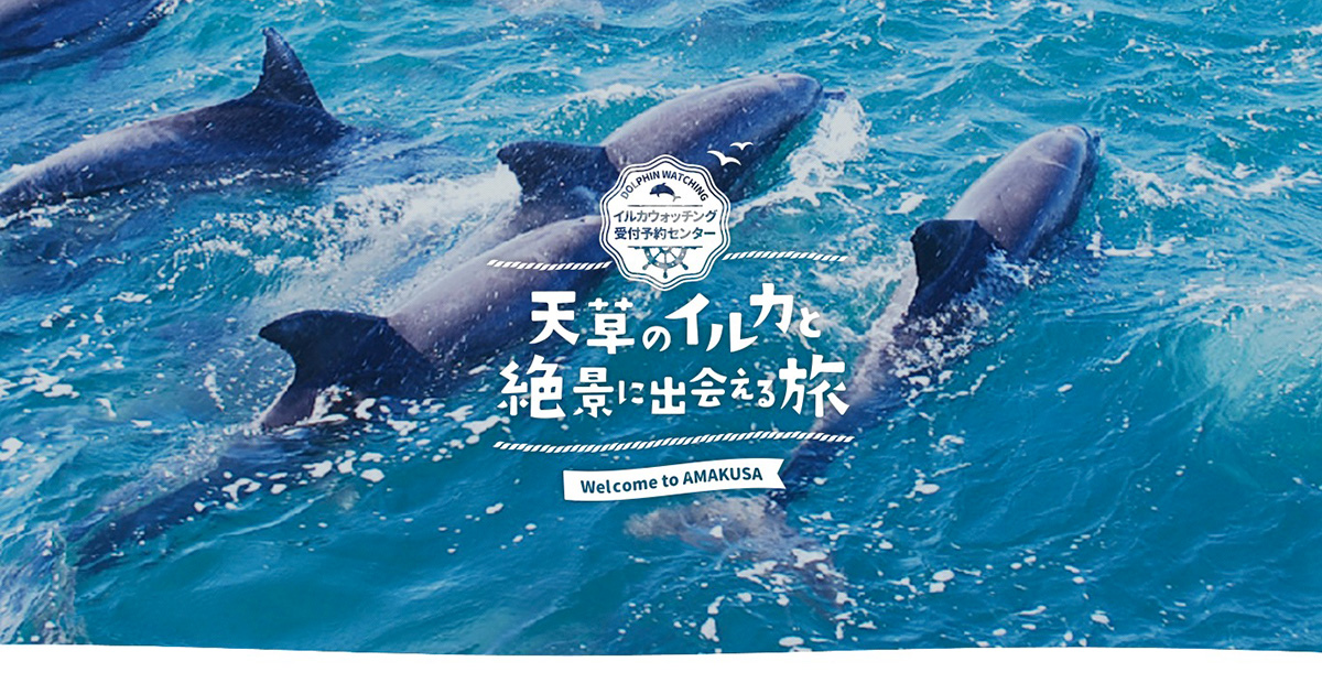 年末年始営業のお知らせ | 天草 イルカウォッチング受付予約センター