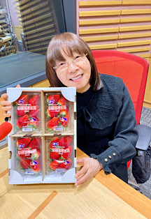 イルカ公式サイト