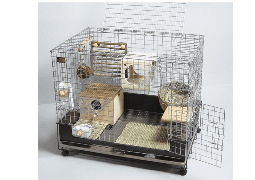 チンチラ向けレイアウト｜【KAWAI】わらっこ倶楽部・そのまんま天