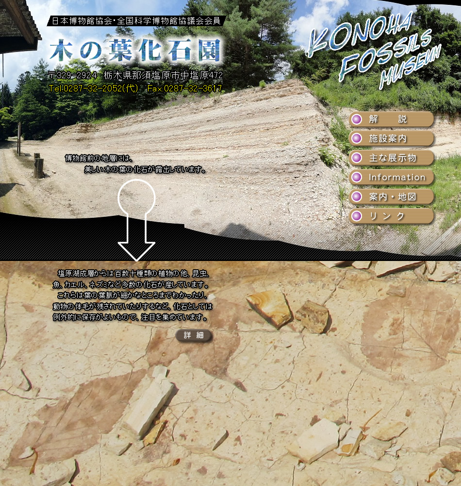 木の葉化石園のホームページ