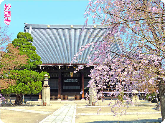 妙顕寺（京都観光上京区）