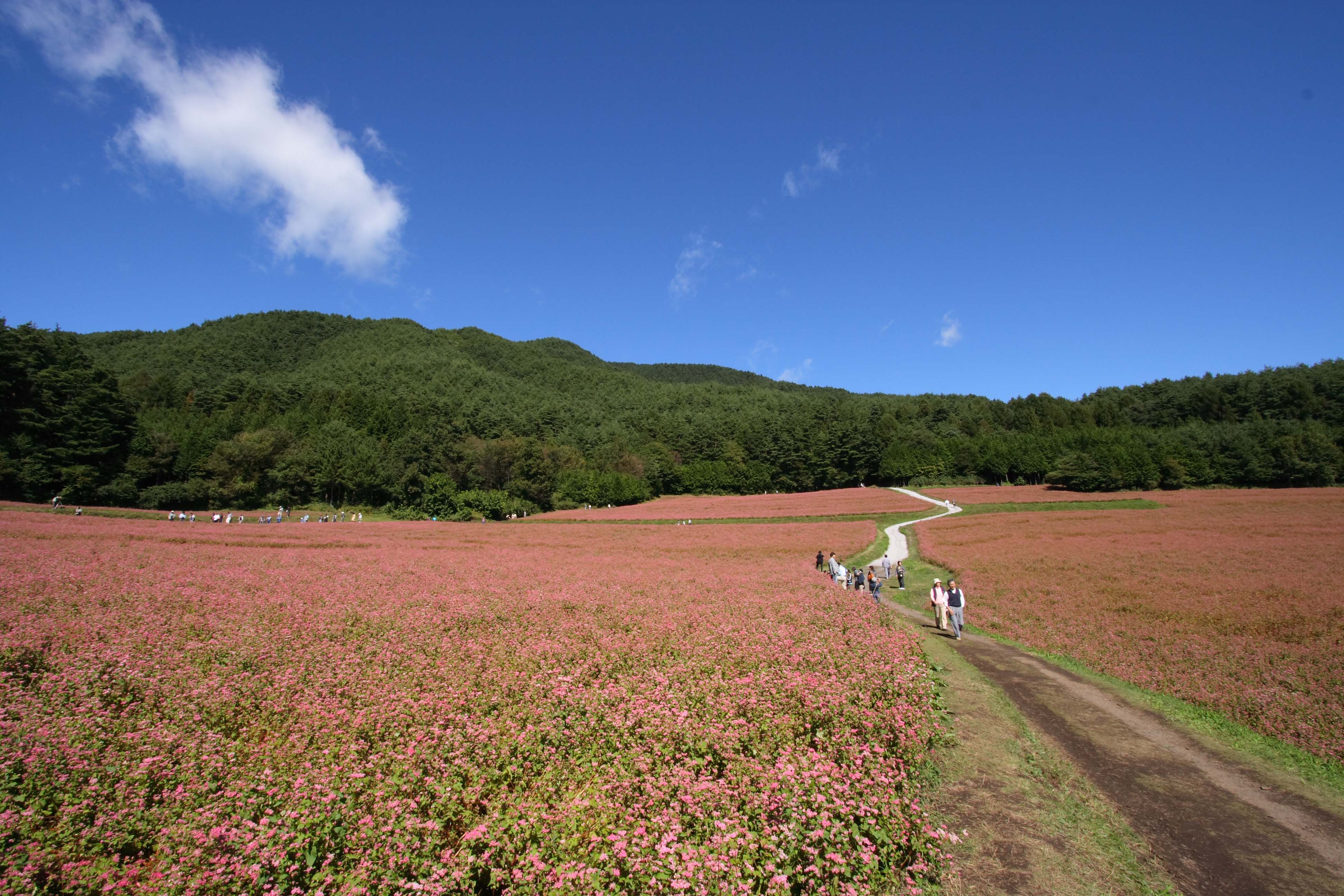 Canon EF-S 10-22mm F3.5-4.5 USM