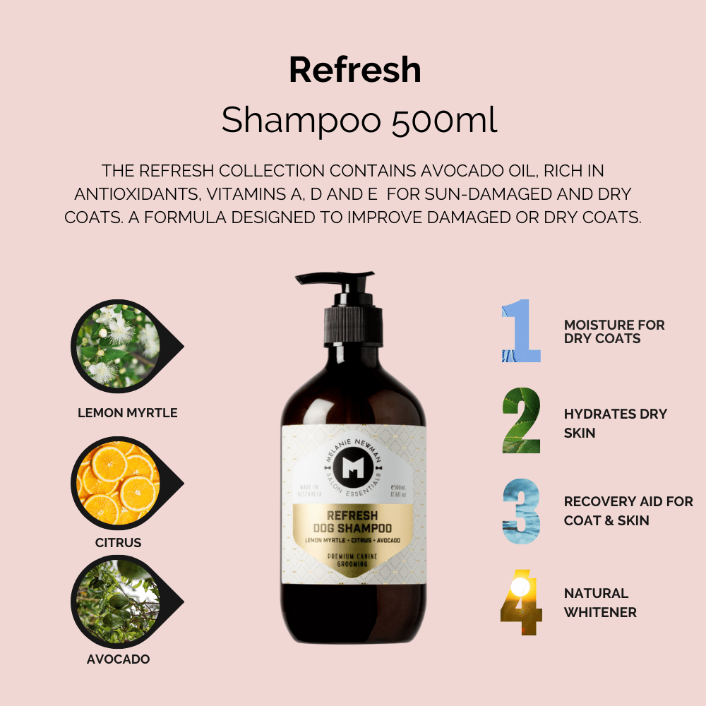 Melanie Newman Salon Essentials | Refresh Dog Shampoo – Melanie