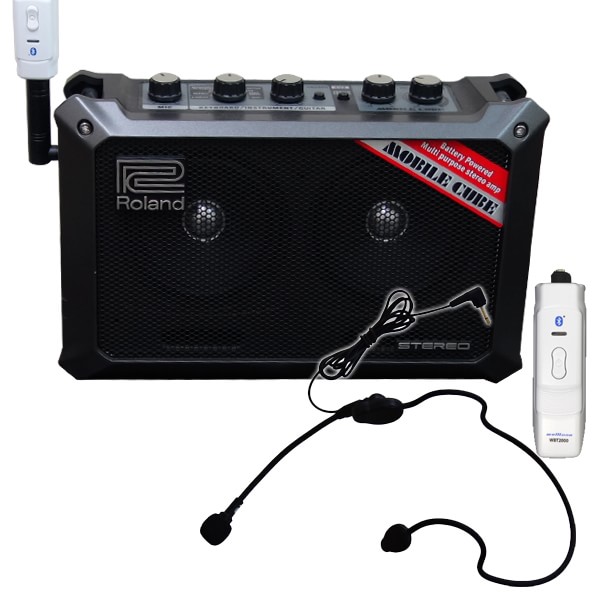 Roland 軽量・小型スピーカー ワイヤレスヘッドマイクセット 大道芸人