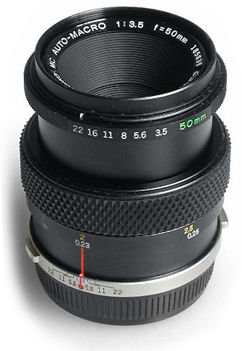 Zuiko for Macro-photography - PART THREE