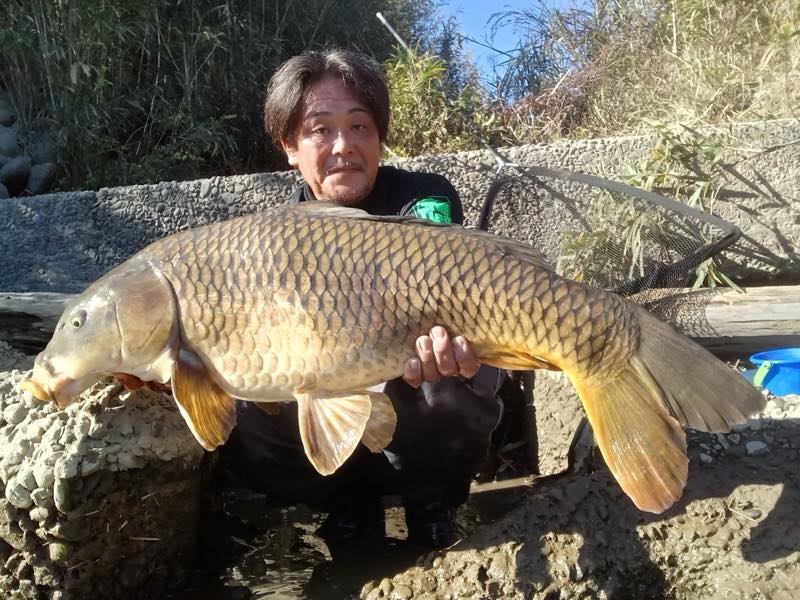 三財川、筑後で鯉 の釣果 (2024/12/22) / みやつり