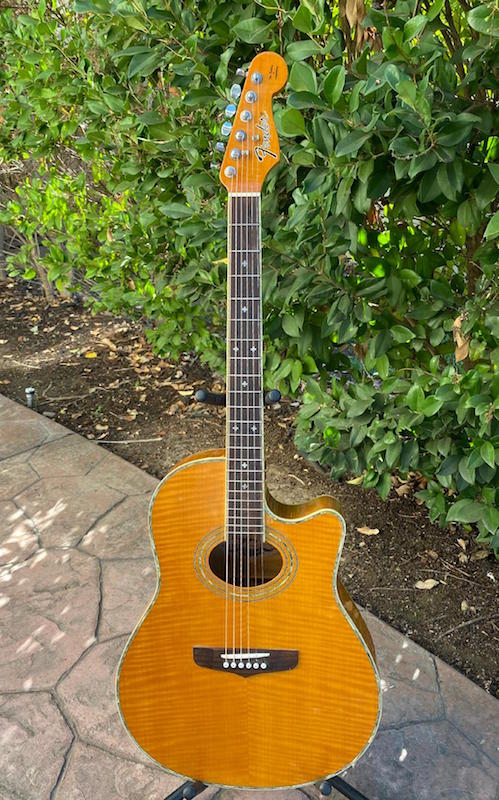 Fender Montara – Moze Guitars