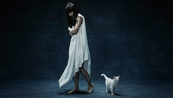 Aimer ベストアルバム