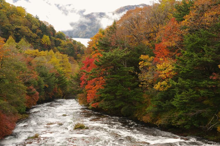 環境省_日光湯元ビジターセンター_奥日光の紅葉_竜頭ノ滝（滝上）