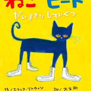 Discography | Music & Magic - 大友剛 Otomo Takeshi