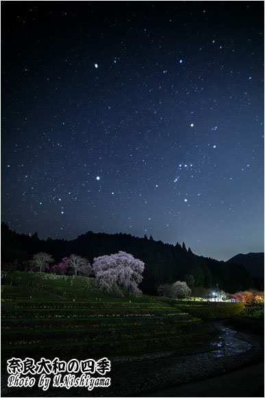 奈良大和の四季 2024年4月新作