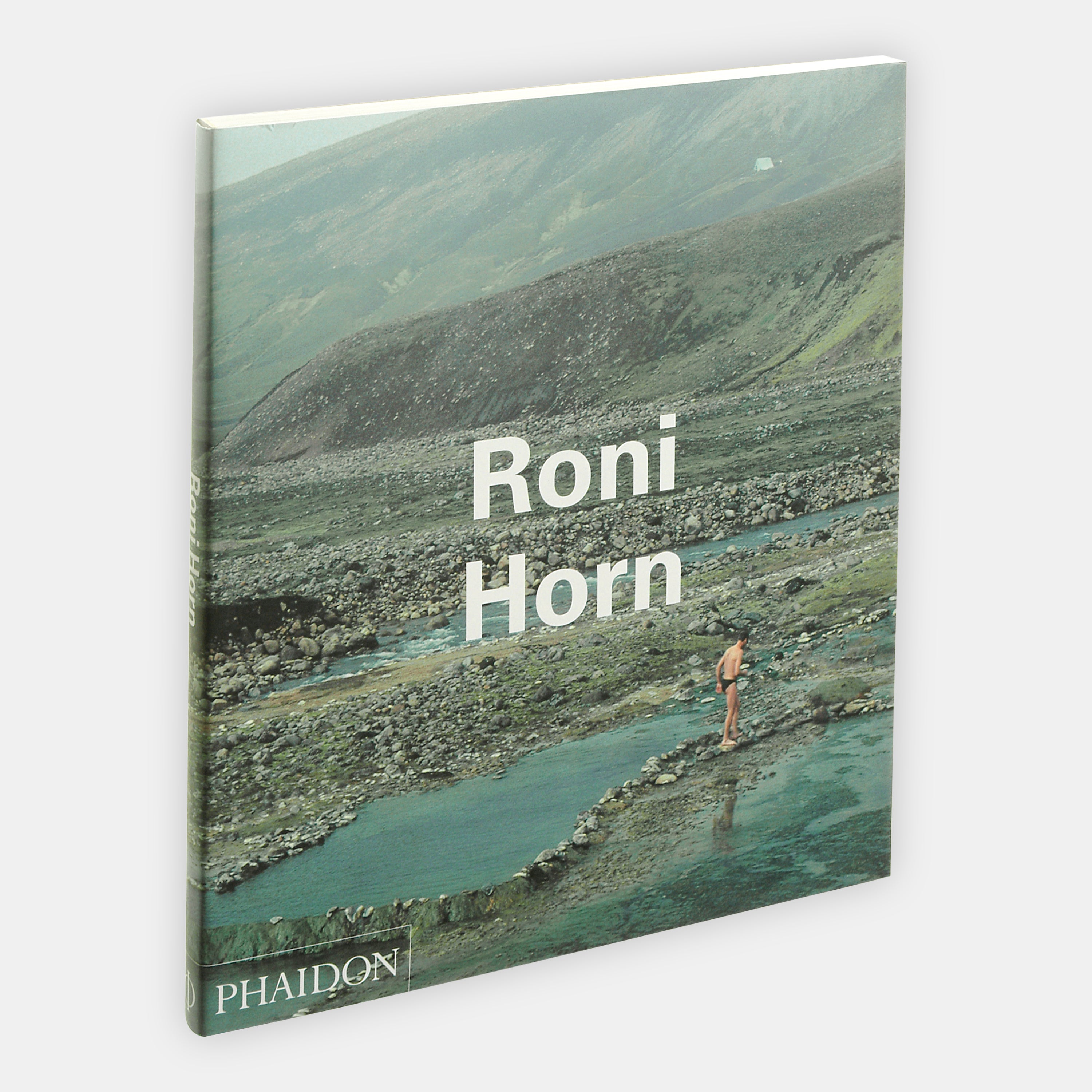 9780714838656-Roni-Horn-3d-