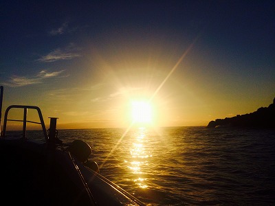 FUMI'S BLOG » シューティンウェイSWS-702L“スイミントレーサー