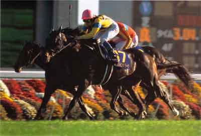 ダンスインザダーク