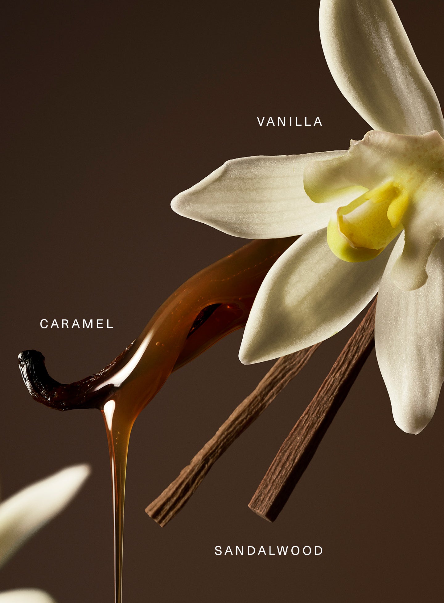 Rare Eau de Parfum | Warm Scented Perfume