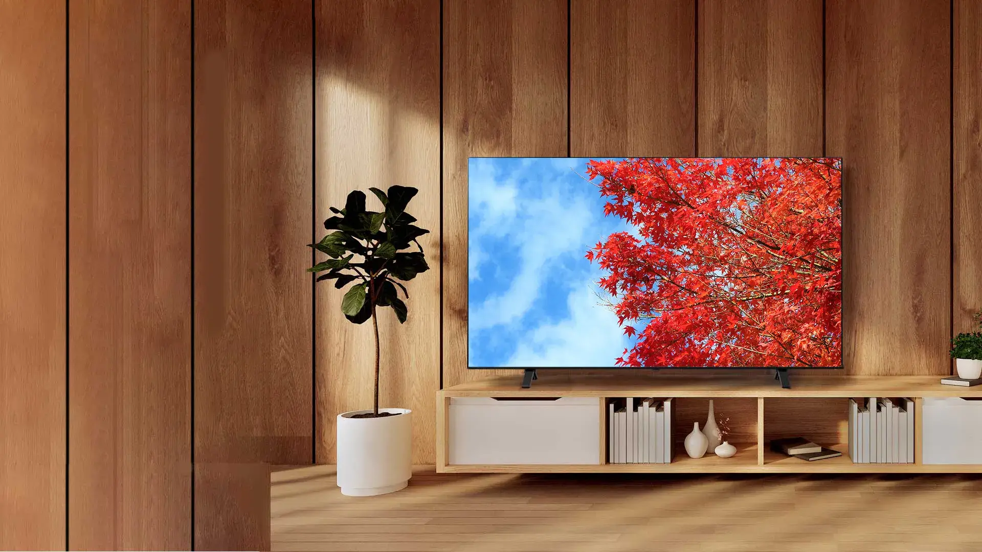 法人向けレグザ C350M series 商品詳細｜TVS REGZA株式会社