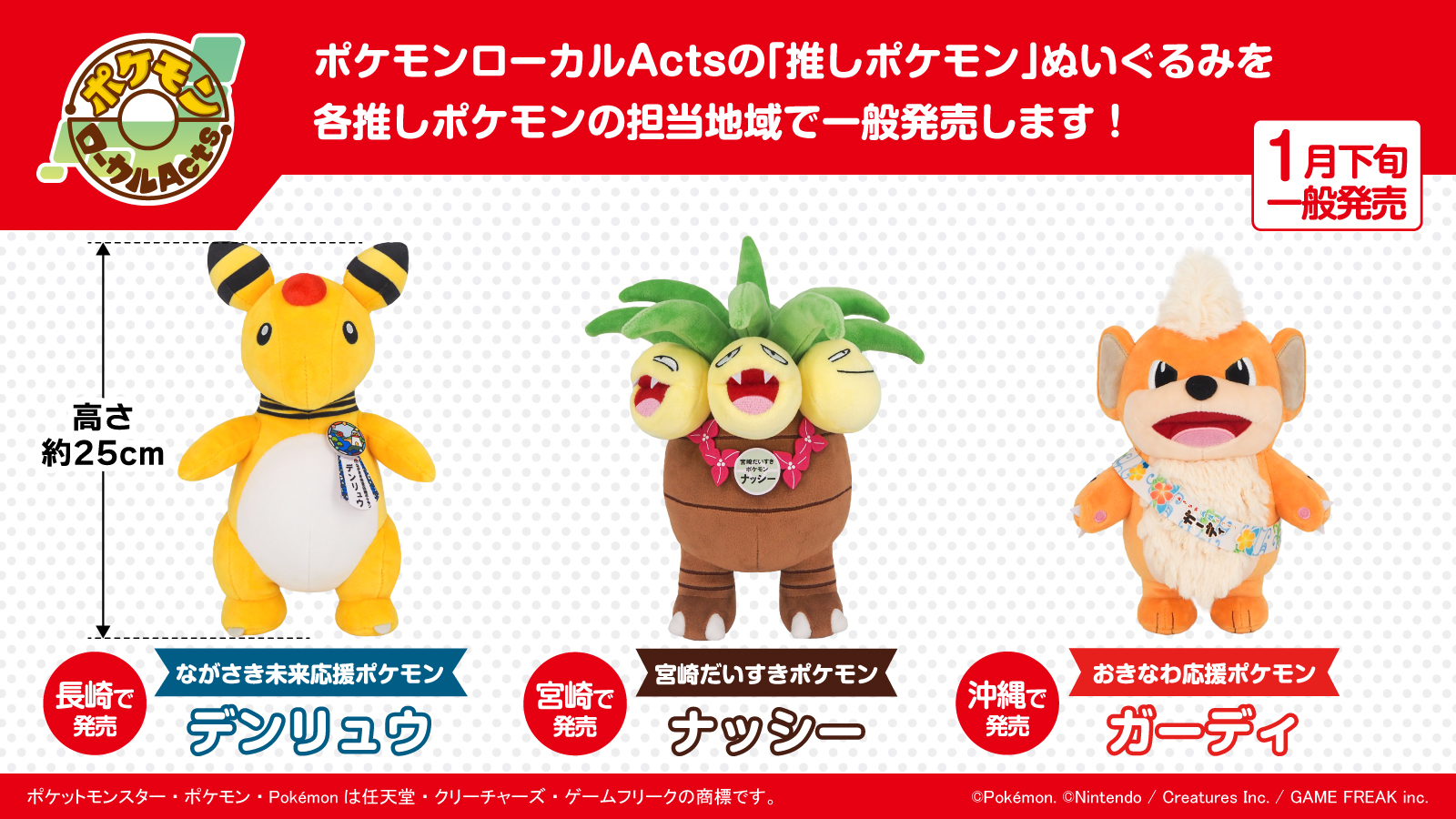 第3弾】ポケモンローカルActs 推しポケモンぬいぐるみの一般発売が決定