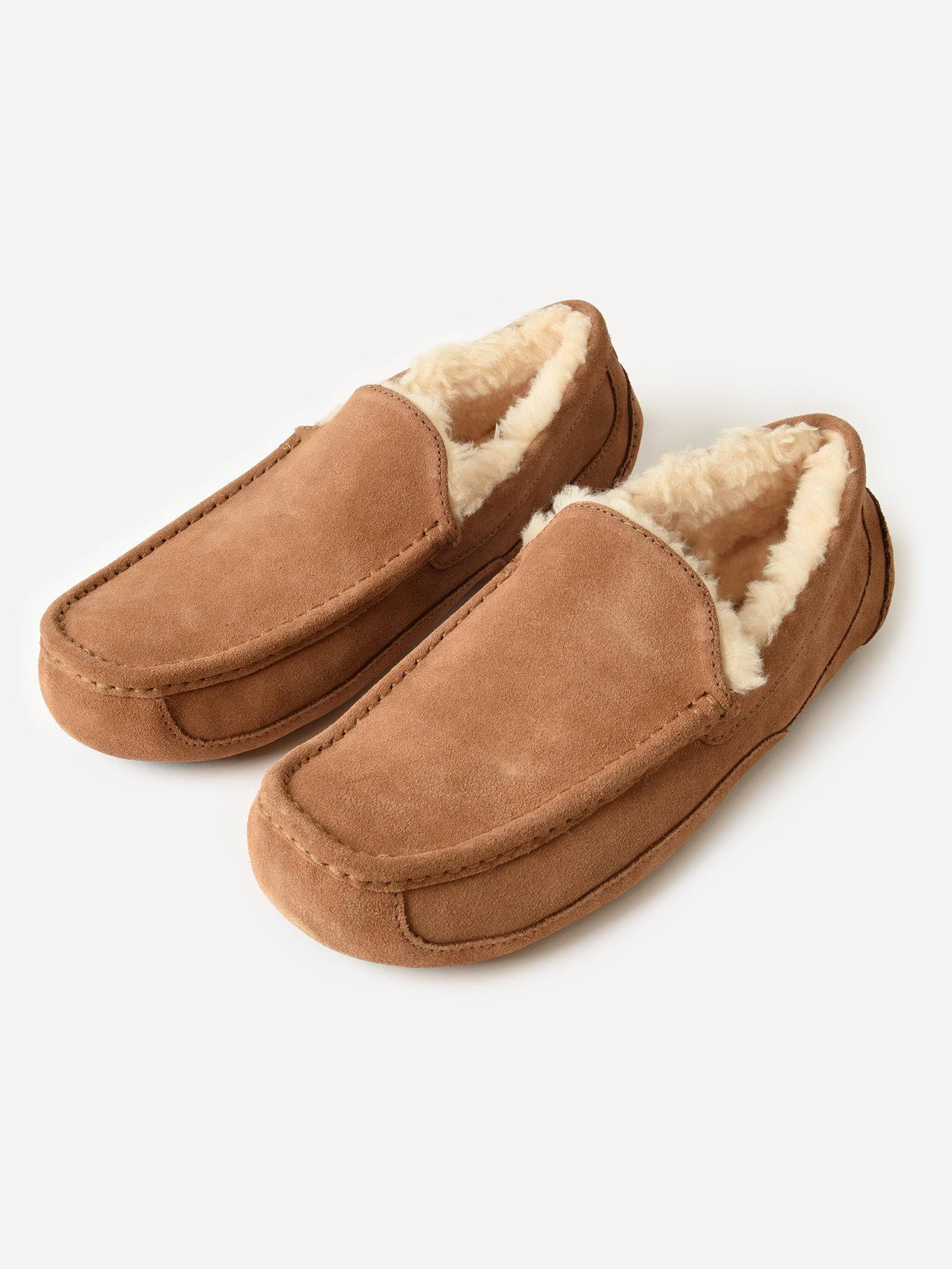 UGG Men's Ascot Slipper – Saint Bernard