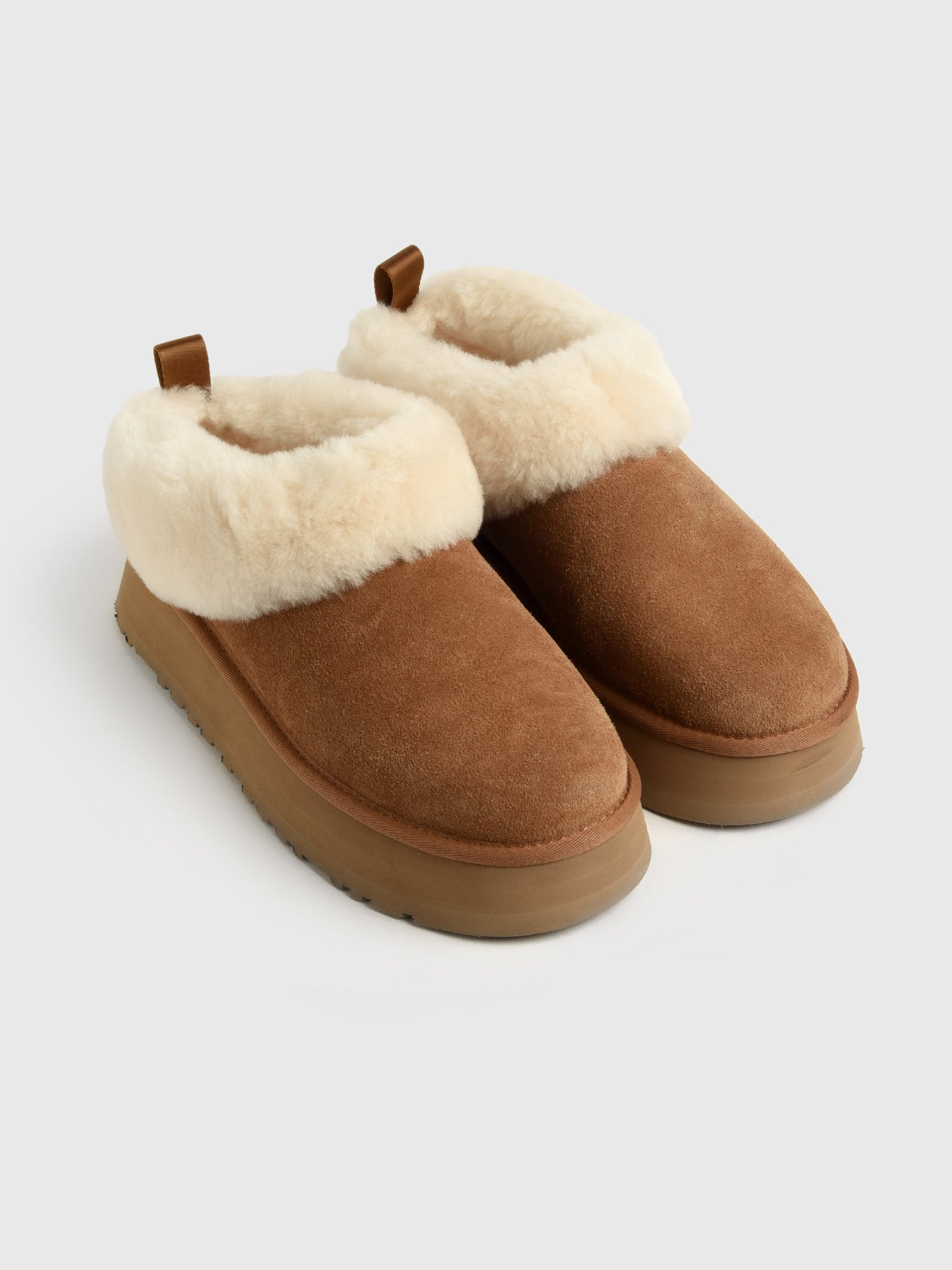 UGG Women's Tazzelle Slipper – Saint Bernard