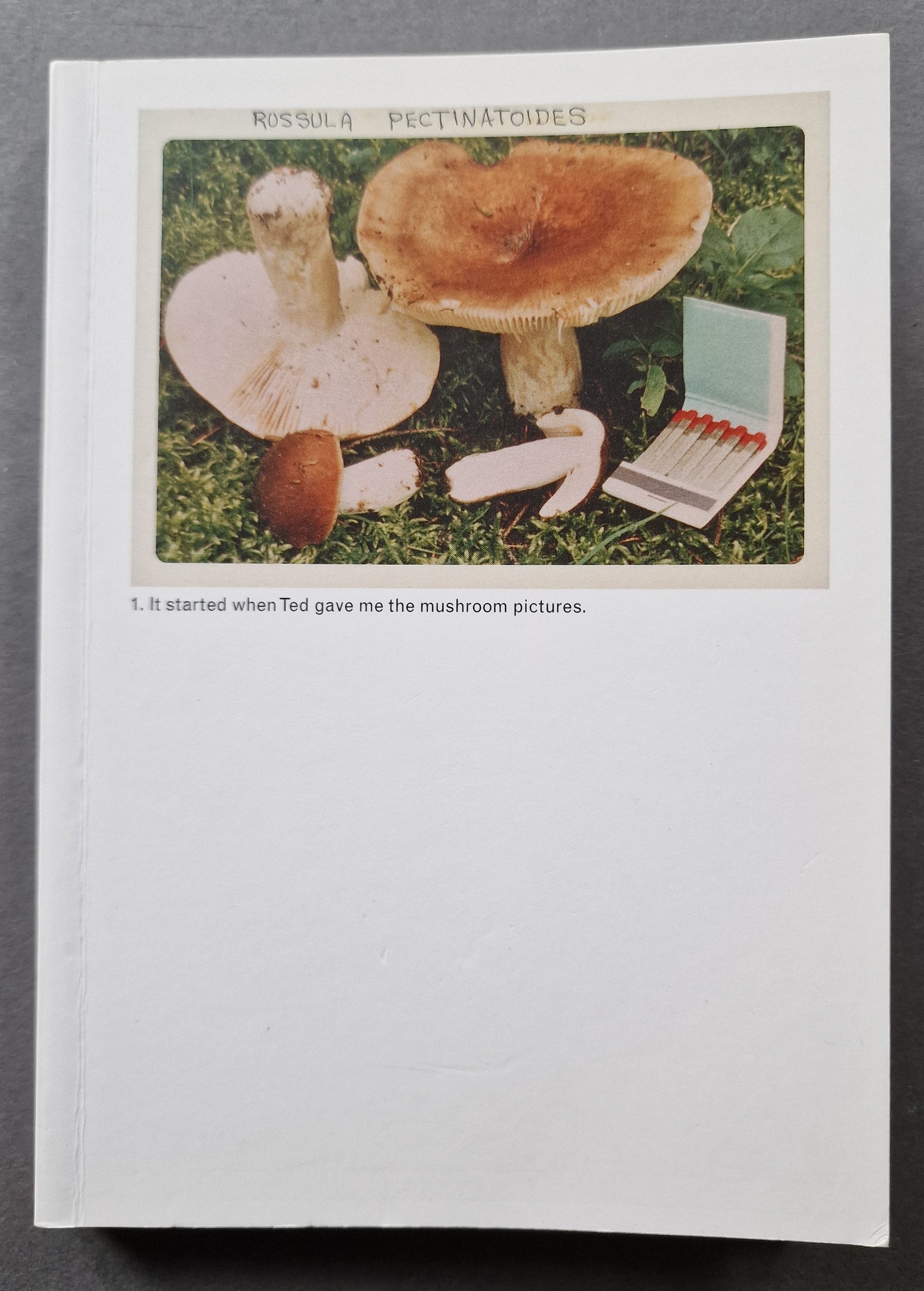 Buy The Mushroom Collector by Jason Fulford Online – Setanta Books