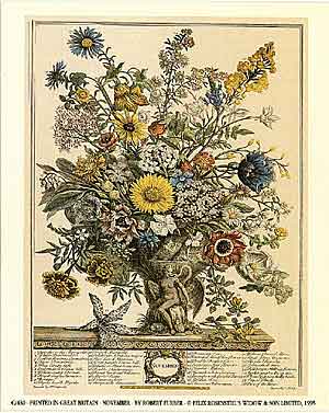 Furber's Flowers Twelve Months of Flowers Print