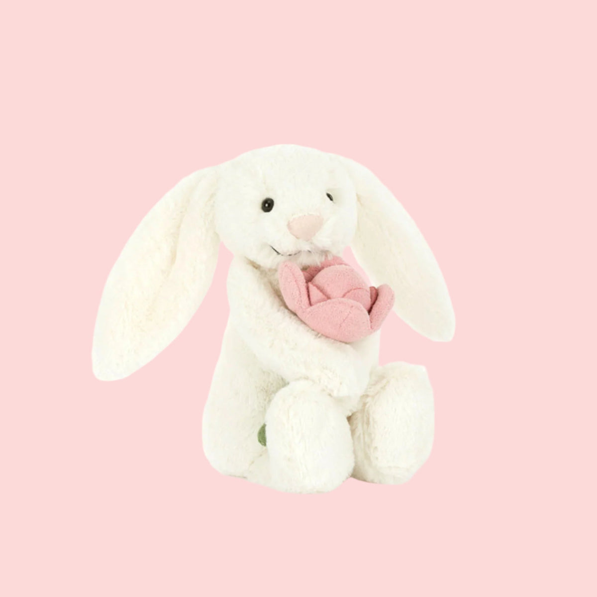 bashful-bunny-peony_1200x1200.