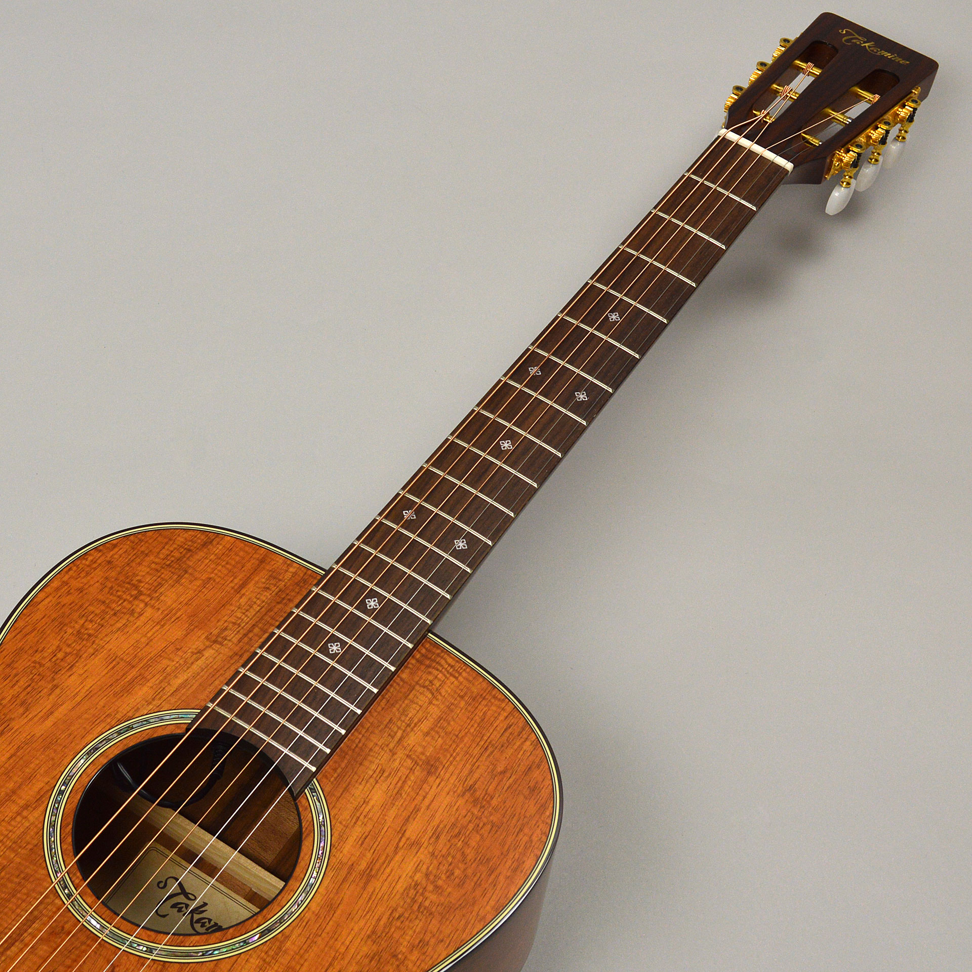 アコースティックギター】Takamine（高峰／タカミネ）エレアコ 特集