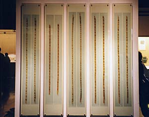 上博楚簡 « 中国出土文献研究会