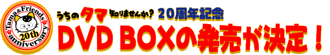 うちのタマ知りませんか？20周年プレミアムDVD BOX