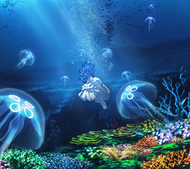 Aimer Official Web Site | DISCOGRAPHY