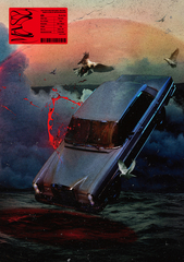 NINTH【LIMITED EDITION BOX B (CD + 2DVD)】 | the GazettE | ソニー