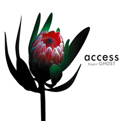 access 15TH ANNIVERSARY DVD BOX | access | ソニーミュージック