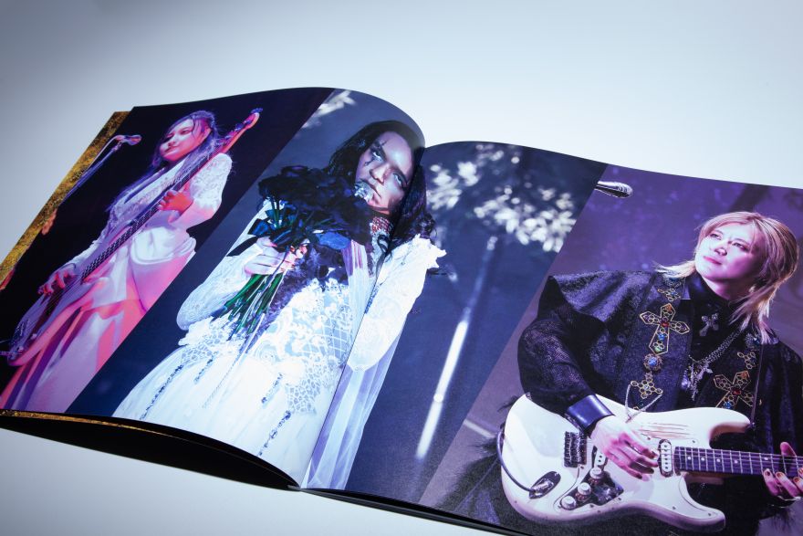 アナウンス｜女王蜂 公式サイト