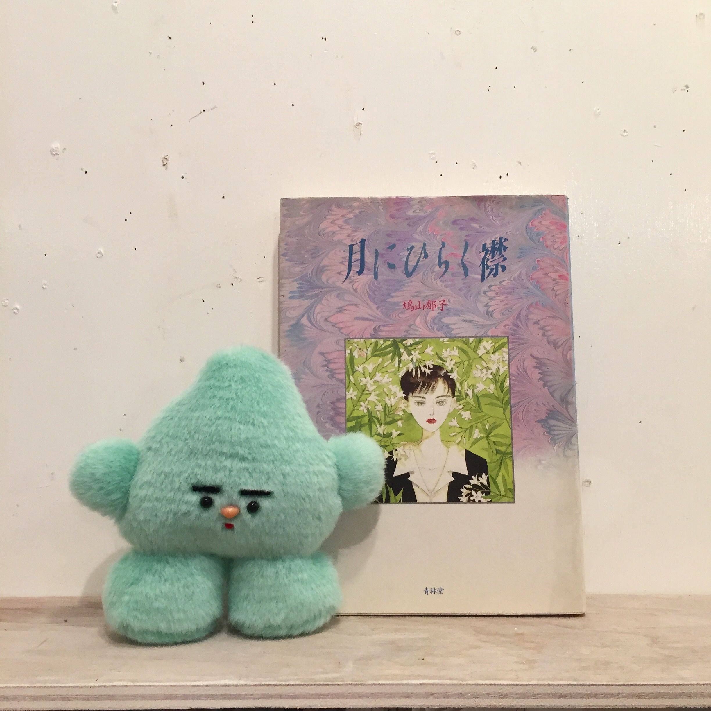 片岡メリヤス不定期企画「IN THE BOOKS」 ｜ SUNNY BOY BOOKS