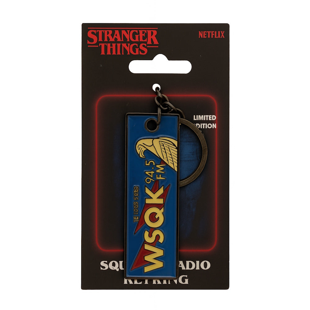 予約商品】 STRANGER THINGS ストレンジャー・シングス (アニメ