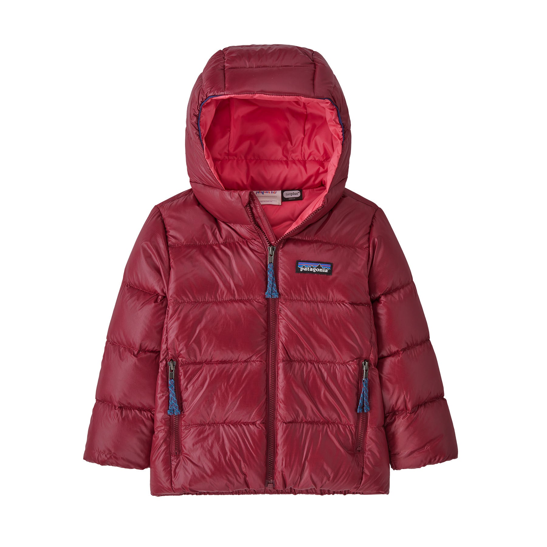 Baby Hi-Loft Down Sweater Hoody – Patagonia Worn Wear®