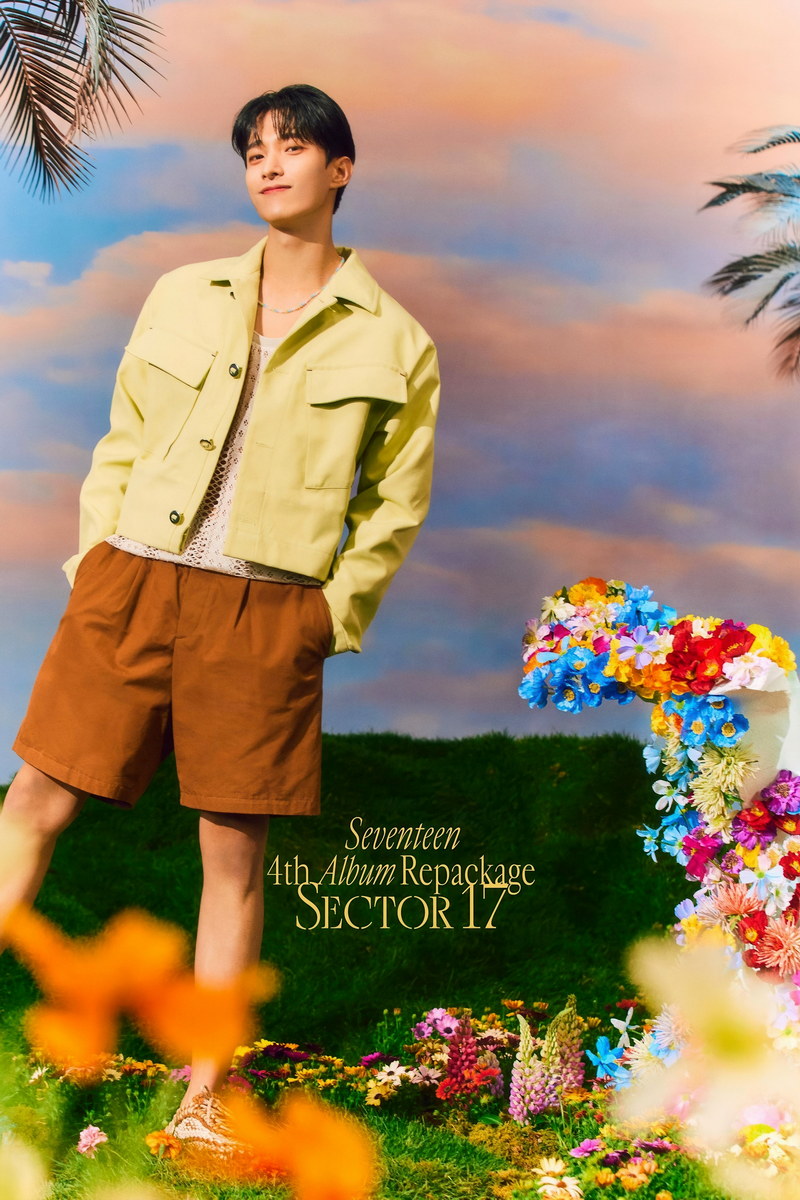 Poster - DK Seventeen SECTOR 17 Concept Photo Music Poster KPop