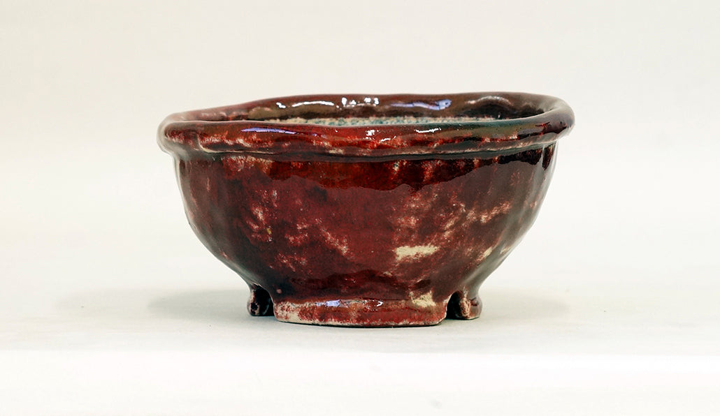 盆栽鉢ストアゆきもの｜盆栽鉢｜てるみ｜赤色の丸鉢