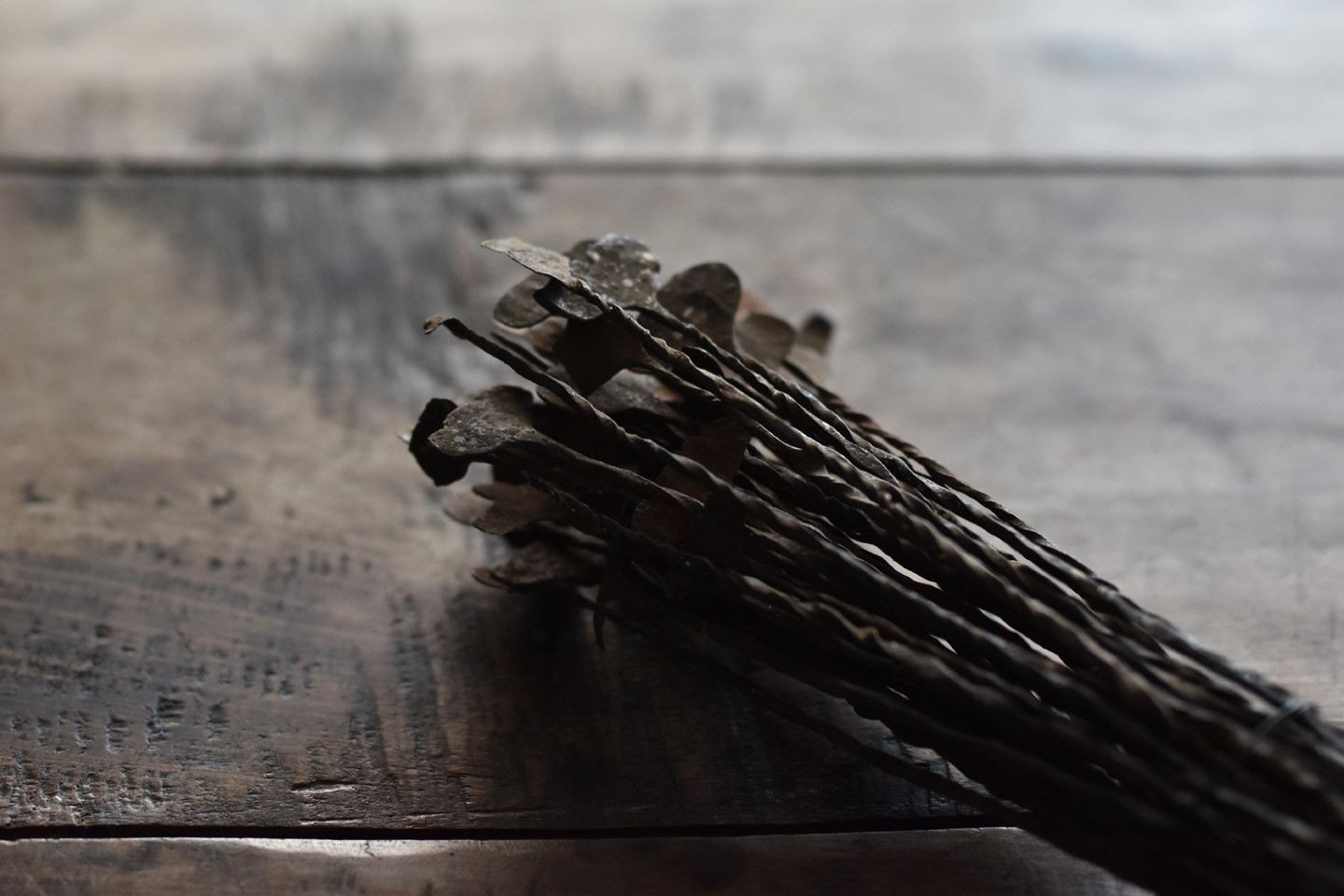 gallery yaichi/antique/others/キシ・ペニー(貨幣) / 19-20世紀