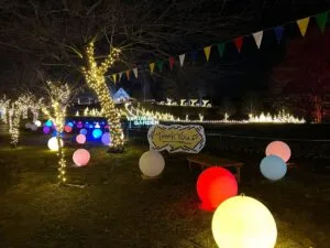 まもなく「星あかり」終了です - やくらいガーデン｜東北最大級の花畑