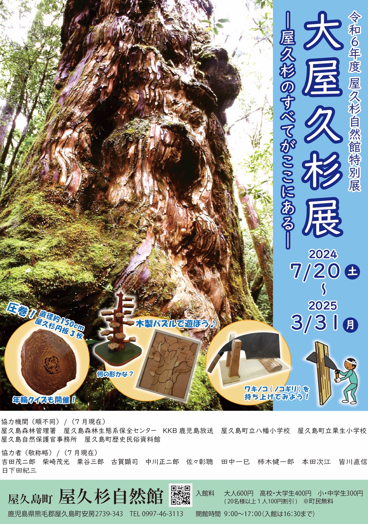 2324「大切に保管していました」自然美の屋久杉/長さ1900×幅130 縄文杉